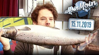 Der Fisch des Jahres amp Der RöstzwiebelEklat  MoinMoin mit Florentin [upl. by Jecho]