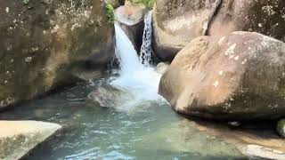 Río Mameyes  Yunque National Rain Forest [upl. by Candis]