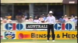 1st Ashes Test Brisbane Australia vs England 199495 [upl. by Moises]