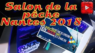 SALON DE LA PÊCHE NANTES 2018 Illex Ultimate fishing Fiiish [upl. by Novelia]