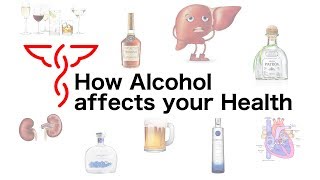 How Alcohol affects your Health [upl. by Akinajnat]