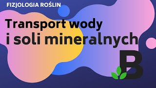 Transport wody i soli mineralnych w roślinie  FIZJOLOGIA roślin  KOREPETYCJE z BIOLOGII  275 [upl. by Siravat]