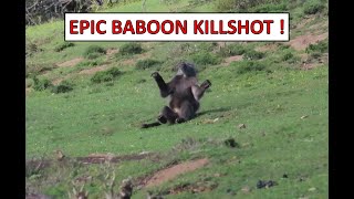 African Baboon Relentless Pursuit 100 meter bow kill [upl. by Almira]