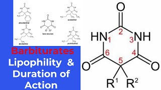 structureactivity relationship SAR of barbiturates [upl. by Michale]