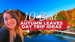 Autumn Leaves Japan 10 Best Autumn Day Trips from Tokyo to see Fall Colours [upl. by Eendyc]