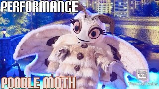 Poodle Moth Performs quotJust The Way You Arequot By Billy Joel  Masked Singer  S11 E3 [upl. by Ahsenot717]