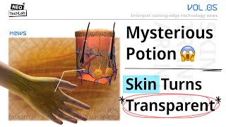 Researchers Have Developed a Mysterious Potion To Make Skin Invisible [upl. by Cung]