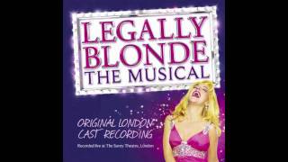 Legally Blonde The Musical Original London Cast Recording  What You Want [upl. by Lorolla]