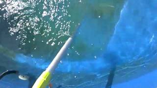 Cleaning Algae from a Fiberglass Pool [upl. by Eiralav]