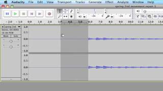 How to use Audacity to add silence to an audio file [upl. by Heyde496]