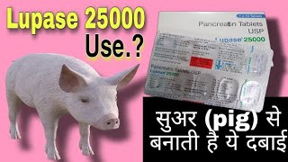 Lupase 25000 usage in Hindi  Creon Tablet benefits and side effects [upl. by Aknayirp]