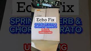 Echo Fix Spring Reverb EFP2 amp Chorus Vibrato EFP3 pedals  Unboxing🤩 unboxing [upl. by Drahser999]