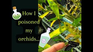 How I poisoned my Orchids [upl. by Hsak874]