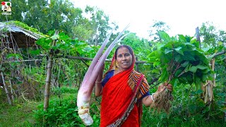 ইলিশ মাছের মাথা দিয়ে সেরা কচুরশাক রেসিপি সাথে বাগানের টাটকা নালতে শাক রান্না  Kochu Shak recipe [upl. by Hun]