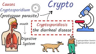 Cryptosporidiosis  Causes Symptoms Life Cycle Diagnosis Treatment Prevention [upl. by Navinod]