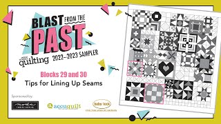 Blast from the Past Mystery Sampler Tips for Lining Up Seams [upl. by Alle543]