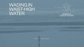 Fleet Foxes  quotWading In WaistHigh Waterquot Lyric Video [upl. by Serrano]