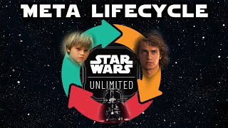 EVERYTHING you need to know about the META LIFECYCLE [upl. by Swarts889]