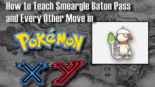 How To Teach Smeargle Baton Pass in Pokemon XY [upl. by Nilrem284]