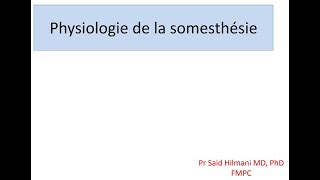 Neurophysiologie  Physiologie de la somesthesie FMPC [upl. by Jarib476]