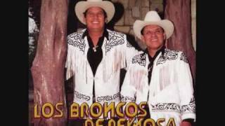 LOS BRONCOS DE REYNOSA EL ZORRO MEXICANO [upl. by Aihsetan637]