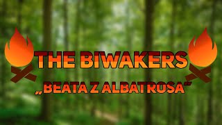 The Biwakers  quotBeata z Albatrosaquot Jacek Laskowski Cover [upl. by Bluefield146]