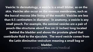 Vesicle  Medical Meaning and Pronunciation [upl. by Nogas]