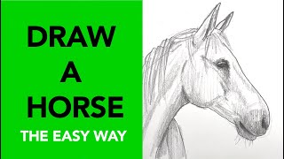 Easy way to draw a horse [upl. by Ylrbmik99]