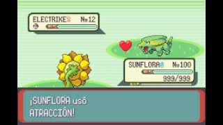 POKEMON EMERALD  SUNFLORA  ATRACCIÓN  ATTRACT [upl. by Odin]