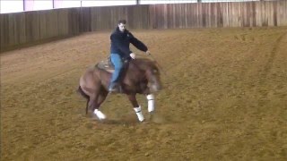 NRHA OPEN FUTURITY CHAMPION SHINE N SPOOK AT 2 YEARS OF AGE [upl. by Rydder]