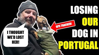 Losing Our Dog In Portugal  Tractive GPS Tracker [upl. by Mccready730]