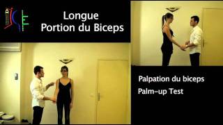 Test Longue Portion du biceps long head biceps [upl. by Annahsar]