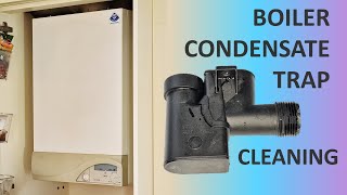 Boiler not working How to clean a boiler condensate trap [upl. by Luapsemaj]