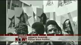 Assata Shakur Pt 1 Interview from Democracy Now [upl. by Bradski]