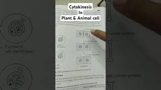 Cytokinesis in Plant and animal cell biology neet celldivision skyclasses [upl. by Zane122]