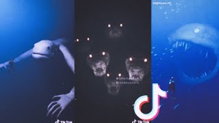 Thalassophobia TikTok compilation [upl. by Eiffe]