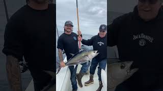 Solid plunker bite on some solid Bluefin Tuna at San Clemente island [upl. by Mcnalley]