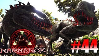 ARK Ragnarok 44  Primeval Indominus Rex zähmen  LP Ark Deutsch [upl. by Prentiss]