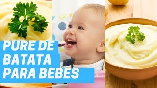 Papinha de Pure de Batata para seu Bebê  Simples e Rápida [upl. by Eillom]