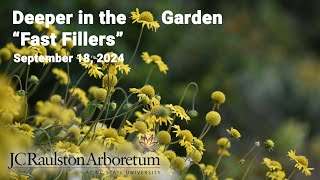 Deeper in the Garden  quotFast Fillersquot [upl. by Naletak]