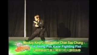 Grandmaster Chan Sau Chungs Monkey Fist [upl. by Lessard]