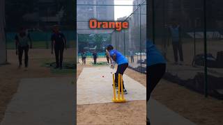 FUN🥰 Batting Drills  cricket practice Batting Drills cricket crickettechnique cricketlovers [upl. by Ajay]