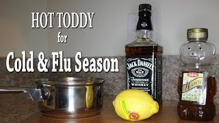 Not Feeling Well Hot Toddy Recipe for Cold amp Flu Season Home Remedy [upl. by Hcahsem446]