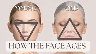 How the Face Ages and What to Do About It  Dr Kim Detollenaere [upl. by Yecaw330]