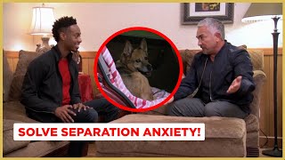 Do You Understand Separation Anxiety in Dogs Tips Resources and How to Get Help [upl. by Anelac]