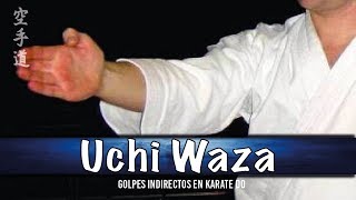 ¿Qué Golpes de Mano Abierta Existen en Karate Do  Uchi Waza [upl. by Neik797]