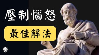 柏拉圖哲學語錄｜適合每個人的生活指南｜要仁慈，你所遇見的每個人都在打一場艱難的仗 [upl. by Salomone]