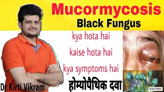 Mucormycosis  कैसे होता है  कैसे ठीक करें  क्या लक्षण है  कैसे फैलता है  कैसे बचे [upl. by Udella]