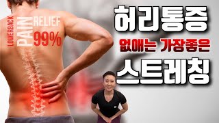 허리 삐끗해서 아플 때 하면 좋은 요추염좌 통증완화 스트레칭 [upl. by Nawotna]