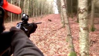 Best of wild boar hunting  Top kill shots compilation  Ultimate Hunting [upl. by Keon]